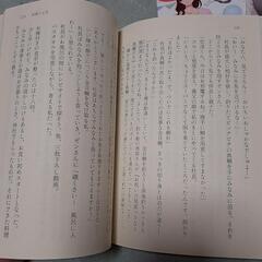 ご懐妊(小説)２冊の画像