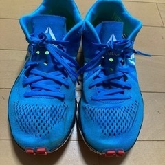 【値下げ】Reebok フロートライドランファストプロ　23.5
