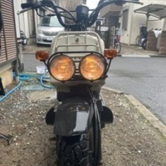 ズーマー　引き取り希望です