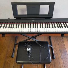 YAMAHA 電子キーボード Piaggero NP-32B