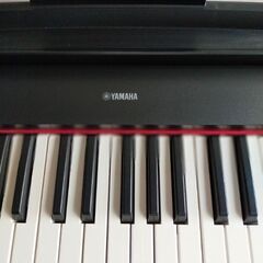 YAMAHA 電子キーボード Piaggero NP-32B