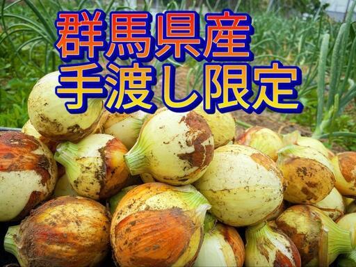群馬県産新玉ねぎ！5kg＋オマケ！4日、5日渡し受付開始！