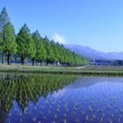 👌高校未入・未卒OK👌 🌲保護者の学費負担ゼロ🌲 親元を離れ自立しながら大学を目指したい高校生・浪人生のための【全寮制フリースクール】🌲の画像