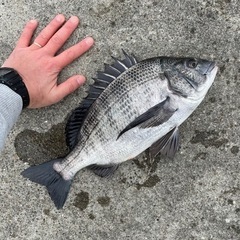 福島県　紀州釣り