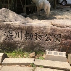 渋川動物公園　MIZONKO倶楽部　クワガタ　カブト展示クジ引き抽選会 - 玉野市