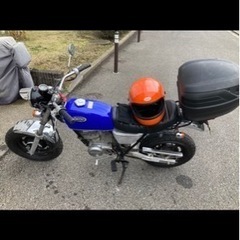 エイプ80cc