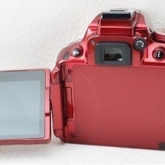 初心者向け○希少カラー○Wi-Fi転送○32GBSDカード○ニコン D5300 1