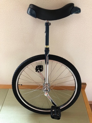 一輪車　ブリジストン　大人用