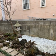 長野市箱清水3丁目✨戸建て賃貸ペット可能　善光寺近く🍀 - 賃貸（マンション/一戸建て）