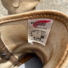 2足レッドウィングの画像