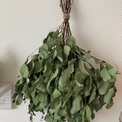 ドライフラワー　スワッグ　