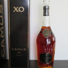 CAMUS XOの画像