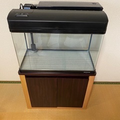 ６０センチ水槽、キャビネット