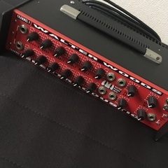 WALTER WOODS M300