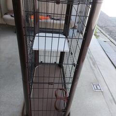 キャットゲージ　ねこ　の画像