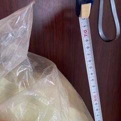ビッグ　プーさんぬいぐるみの画像