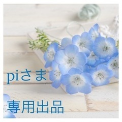 piさま専用ページ