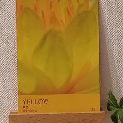 占いに興味がある方向け🔰　占いor講座の画像
