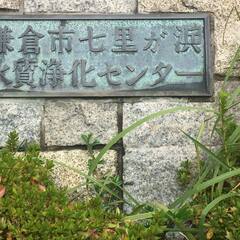 鎌倉ヨガ教室　古典ヨガ　七里ガ浜：毎週金曜　500円クラスの画像