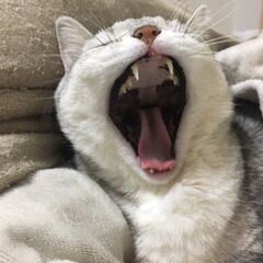 名古屋で一緒に楽しい野球チームを作りましょう(*´▽｀*)♪