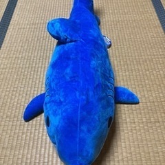 くったりサメさんとなかまたち