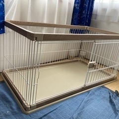 ゲージ　（犬）の画像