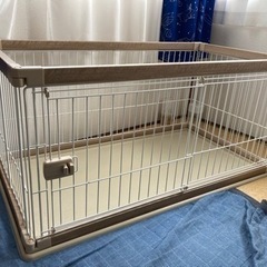 ゲージ　（犬）の画像