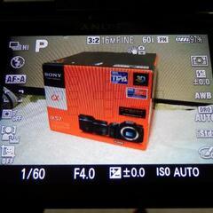 美品❤️シャッター数少なめ❤️自撮りに最適可動式モニター❤️ Nikon