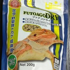 【値下げ】フトアゴドライ　フトアゴヒゲトカゲ　