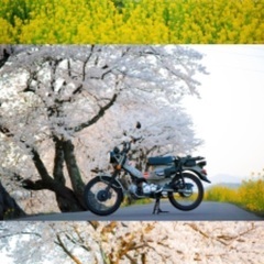 125cc以下ライダーあつまれ〜🛵🏍
