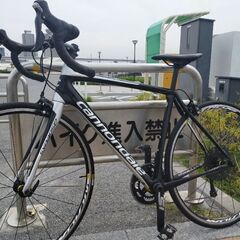 CANNONDALE synapse carbon 105 美品