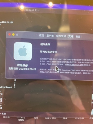 MacBook Pro13インチ　M1