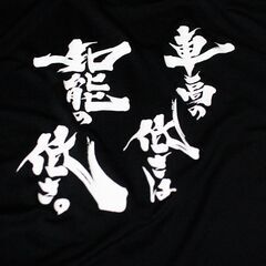 新品未使用　車高の低さは知能の低さ　Tシャツ　黒　Lサイズの画像