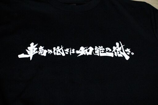新品未使用　車高の低さは知能の低さ　Tシャツ　黒　Lサイズ