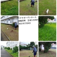 庭園管理　外構工事　社員募集中　所沢市