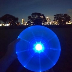 アルティメットナイトフリスビー