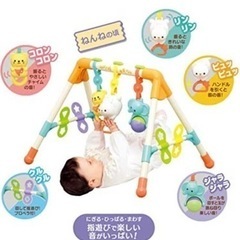 美品/ローヤル べビーズジム 