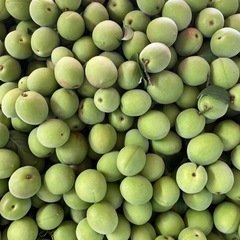 青梅　無人販売　白加賀　200円