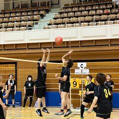 ソフトバレーボール　メンバー募集(男女１８歳から6０歳)