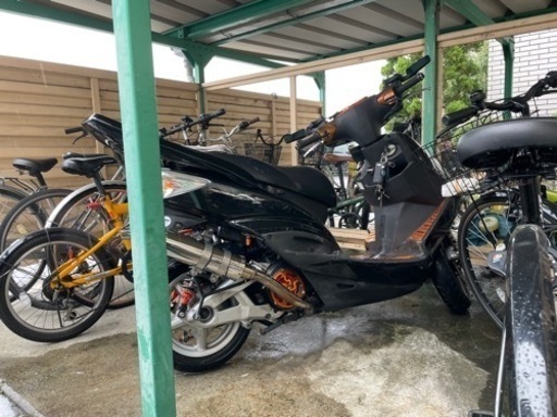 シグナス　2型　se44j