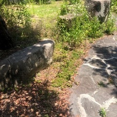 庭石差し上げます！