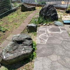 庭石