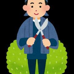庭木のお手入れ等お任せ下さい