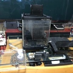金魚 メダカ等 水槽  お値下けします(´˘`＊)