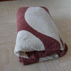 【お譲り先決定】カーペットの画像