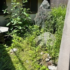 草むしりのお願い