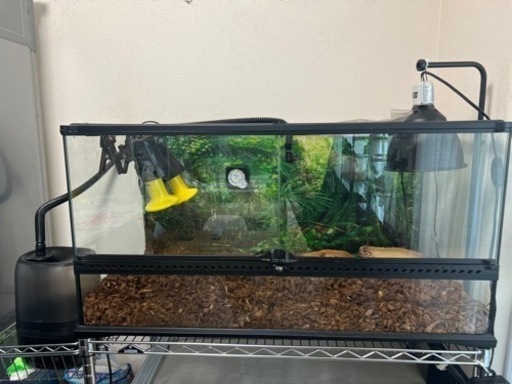 爬虫類ゲージ9045 加湿器　保温器具　サーモセット