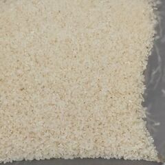 令和3年産コシヒカリ　玄米　処分価格セール!の画像