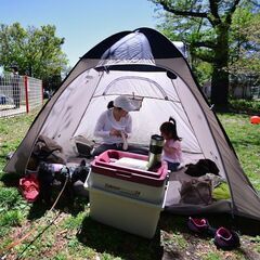 限定品☆Coleman 別注 BEAUTY & YOUTH UNITED ARROWS コールマン