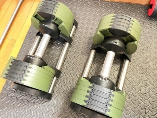 【限定色】新型フレックスベル20kg×2 [2kg刻み]